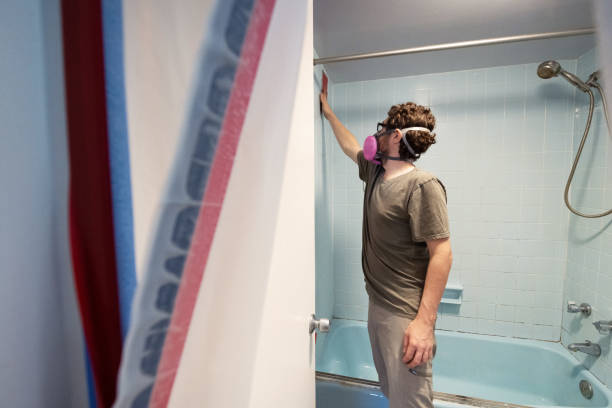 Best Emergency Mold Remediation  in St Marys, GA
