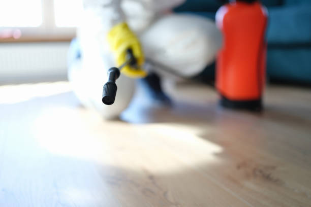 Best HVAC Mold Inspection and Cleaning  in St Marys, GA