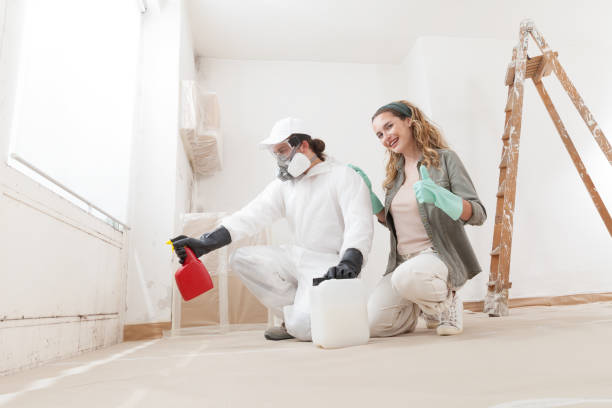 Best Crawl Space Mold Remediation  in St Marys, GA
